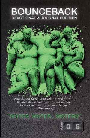 Sister, Sister...Sisters – 30-day Christian devotional for men book cover