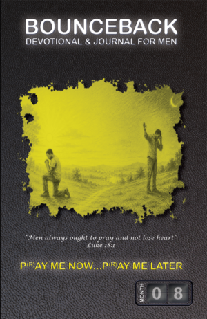 Pray Me Now...Pray Me Later – 30-day Christian devotional for men book cover